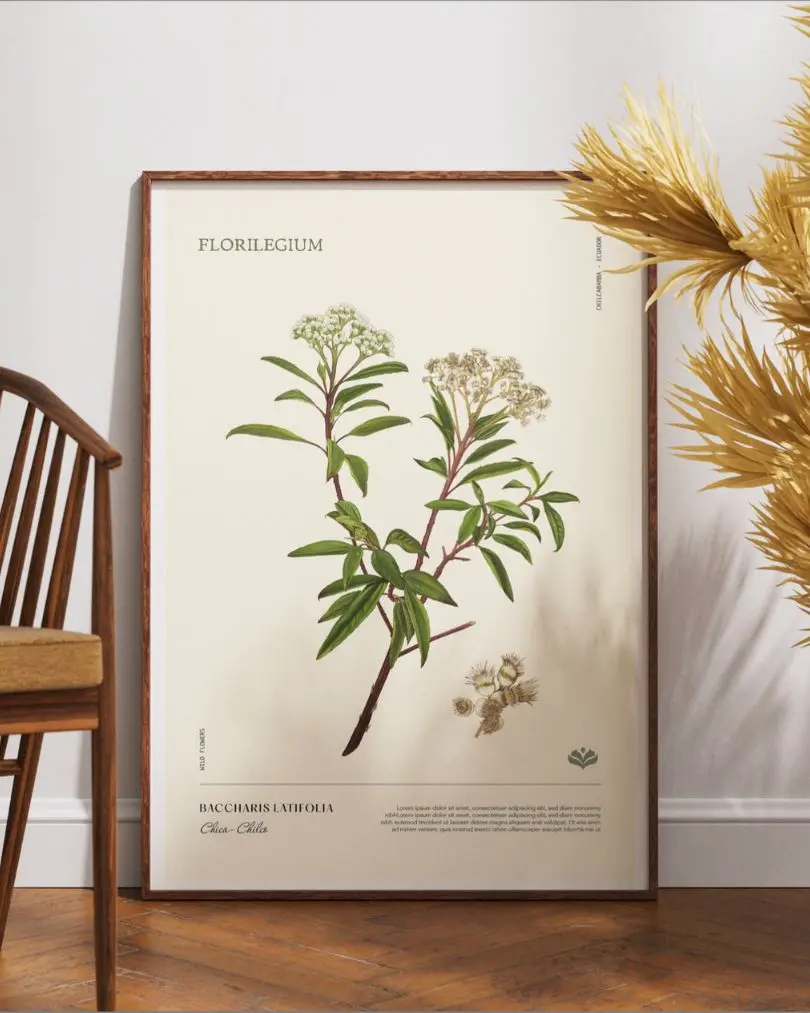 arte botánico andino