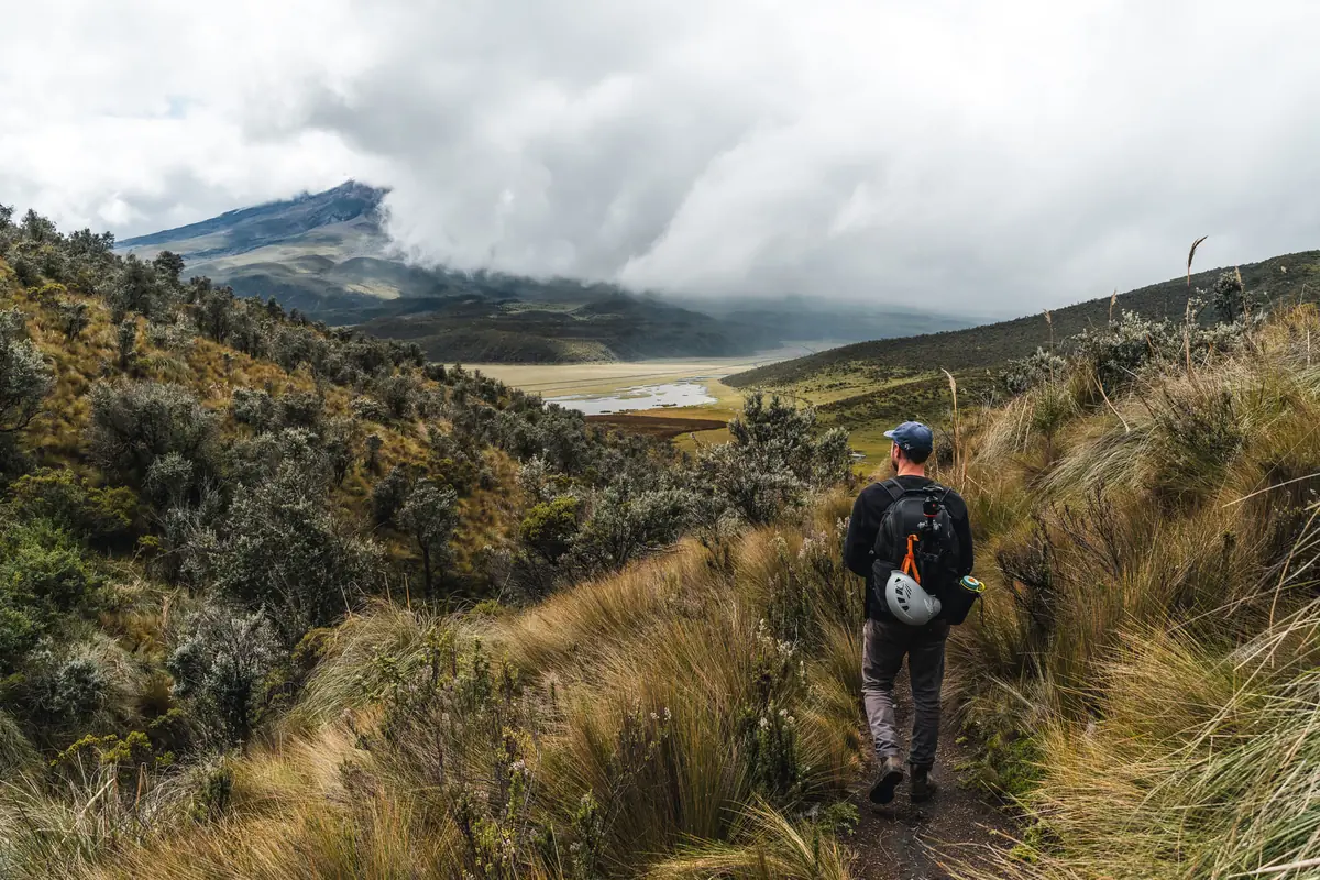 Caminata por el páramo con vista al Cotopaxi