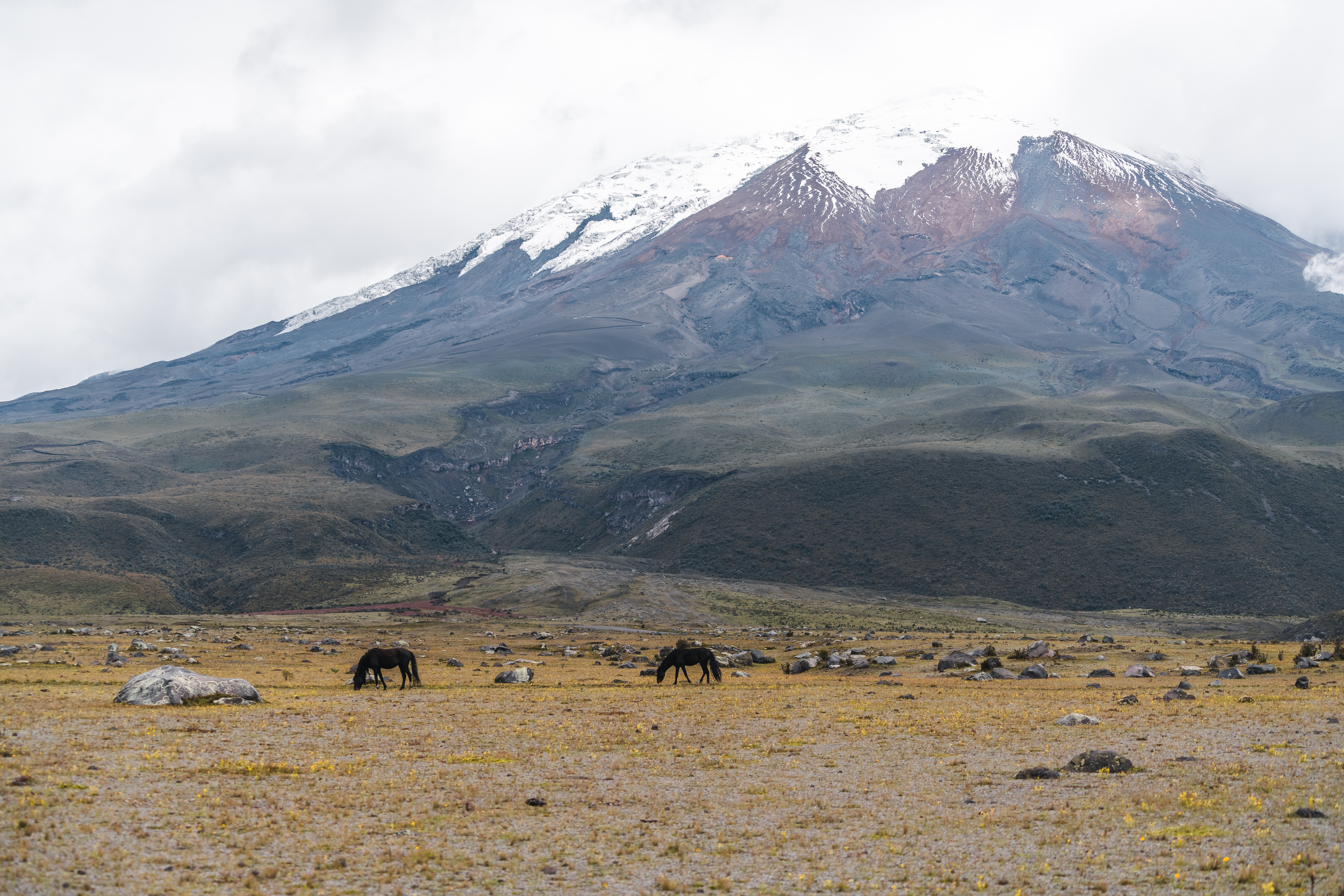 seguridad en Cotopaxi