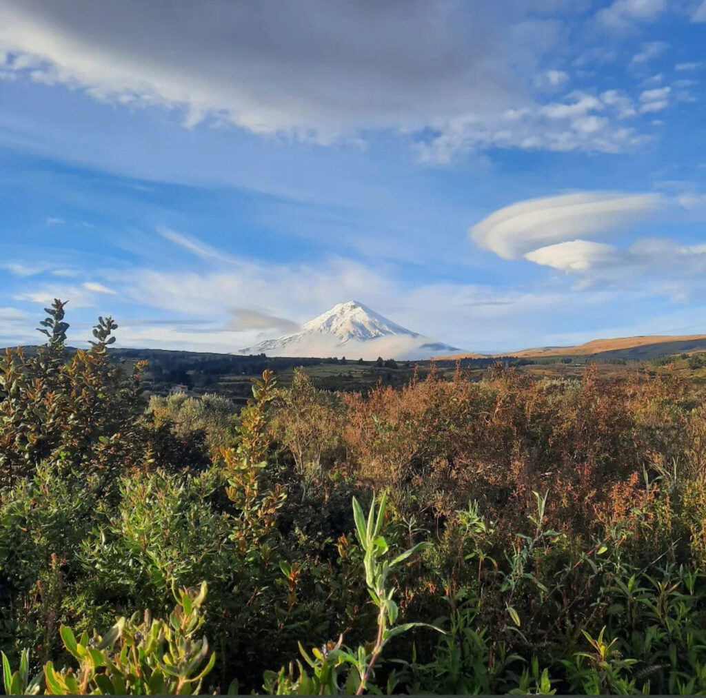 Cotopaxi National Park guide
